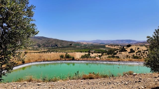 2 soveværelse Finca/Landehus til salg i Casarabonela med swimmingpool - € 198.000 (Ref: 9072304)