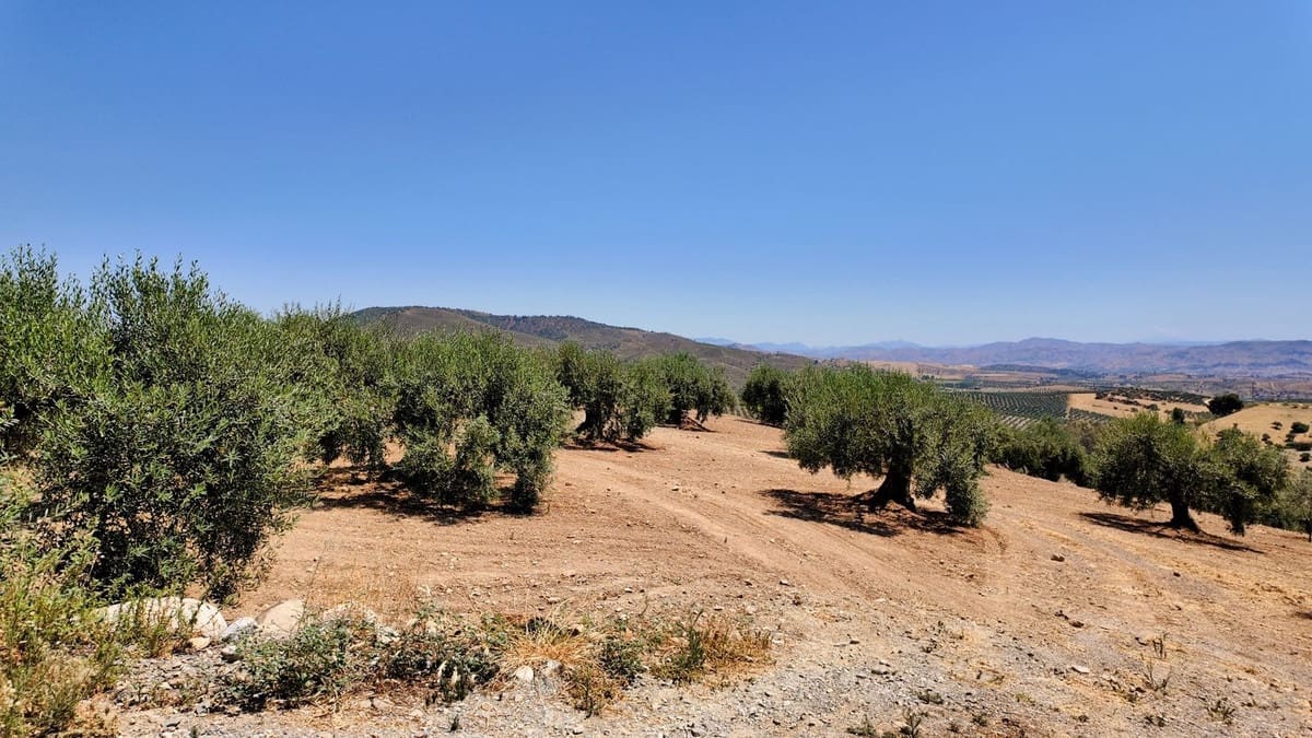 2 Zimmer Finca/Landgut zu verkaufen in Casarabonela mit Pool - 198.000 € (Ref: 9072304)