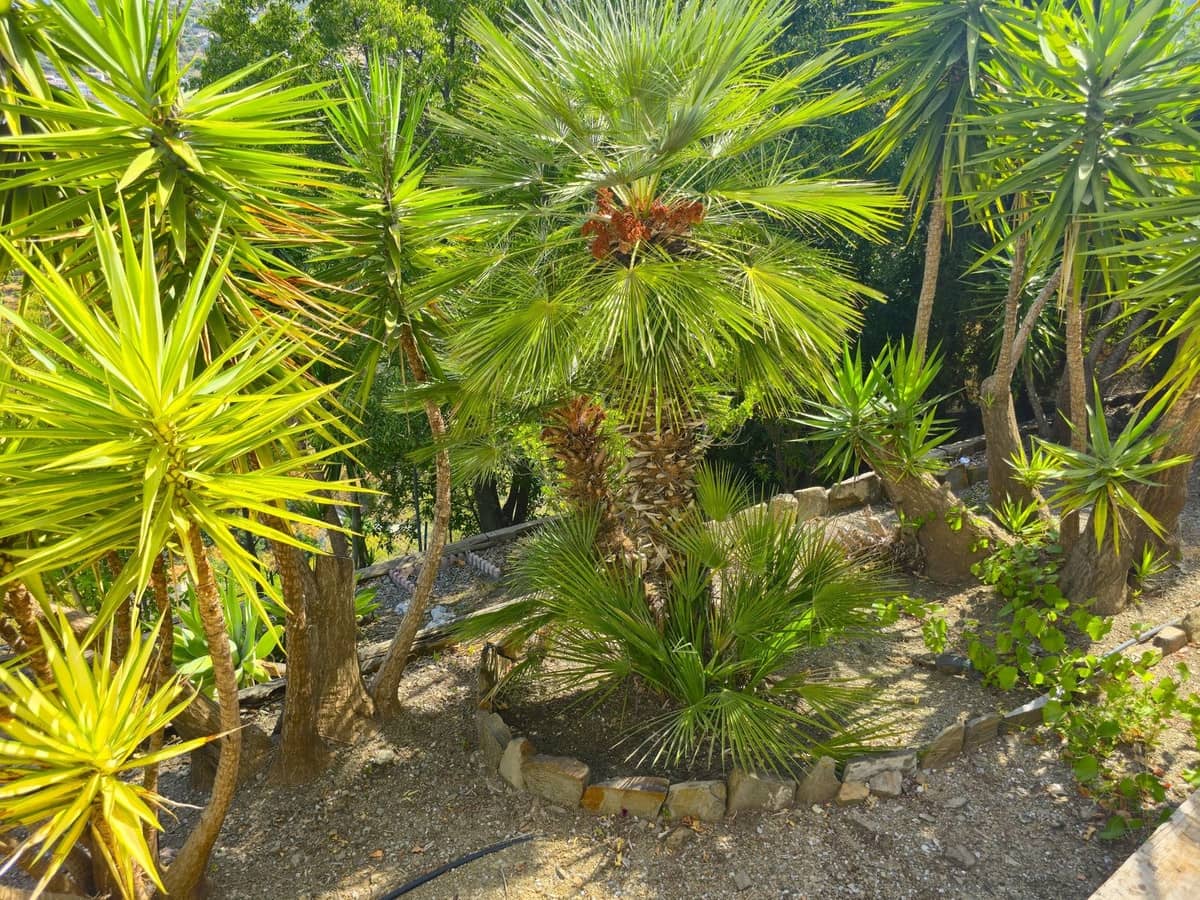 2 sypialnia Willa na sprzedaż w Competa z basenem garażem - 497 000 € (Ref: 9094447)