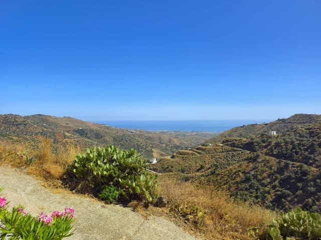 3 sypialnia Willa na sprzedaż w Arenas z basenem garażem - 299 000 € (Ref: 9101066)