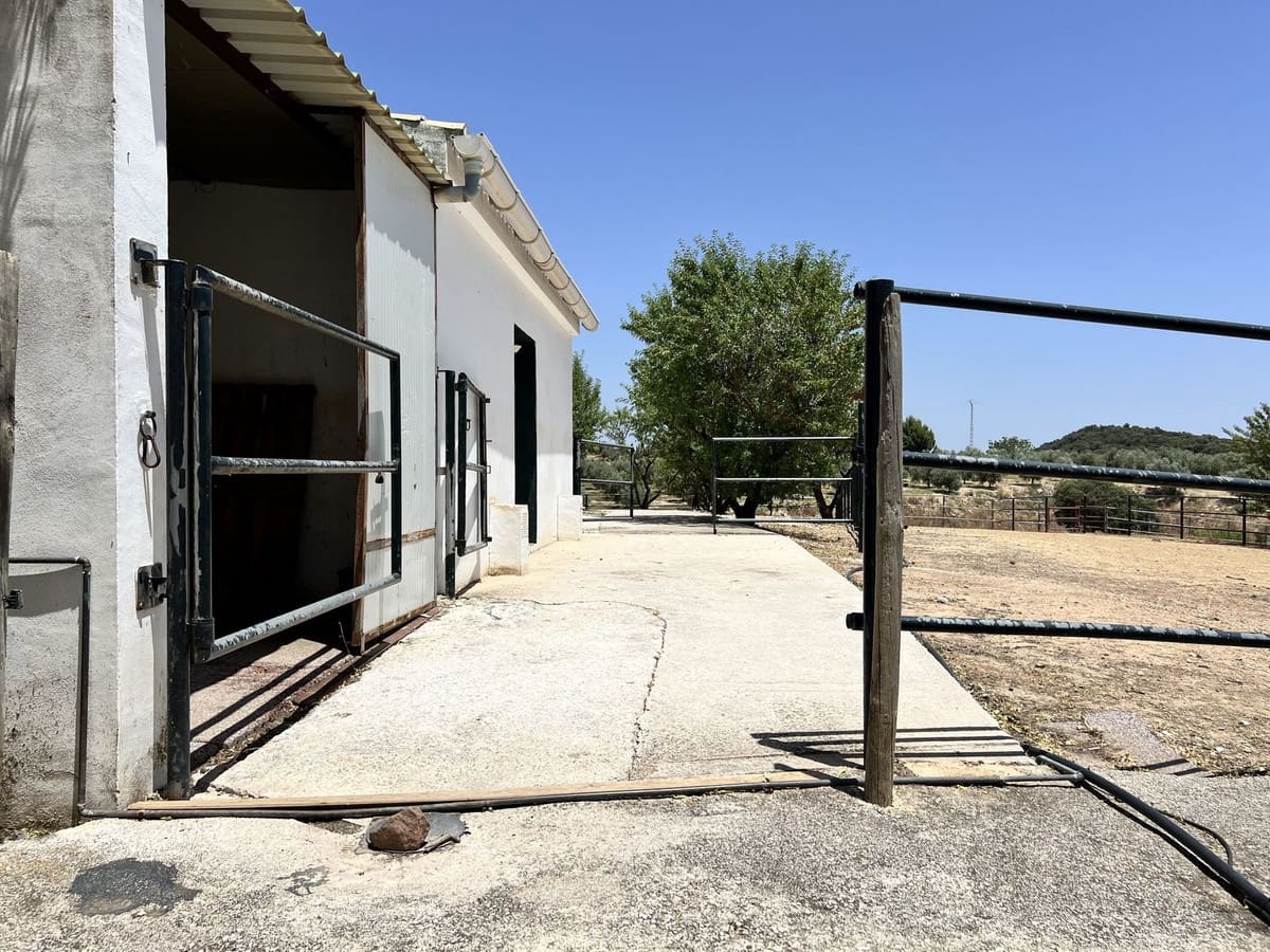 5 chambre Finca/Maison de Campagne à vendre à Villanueva de Tapia avec piscine garage - 595 000 € (Ref: 9117295)