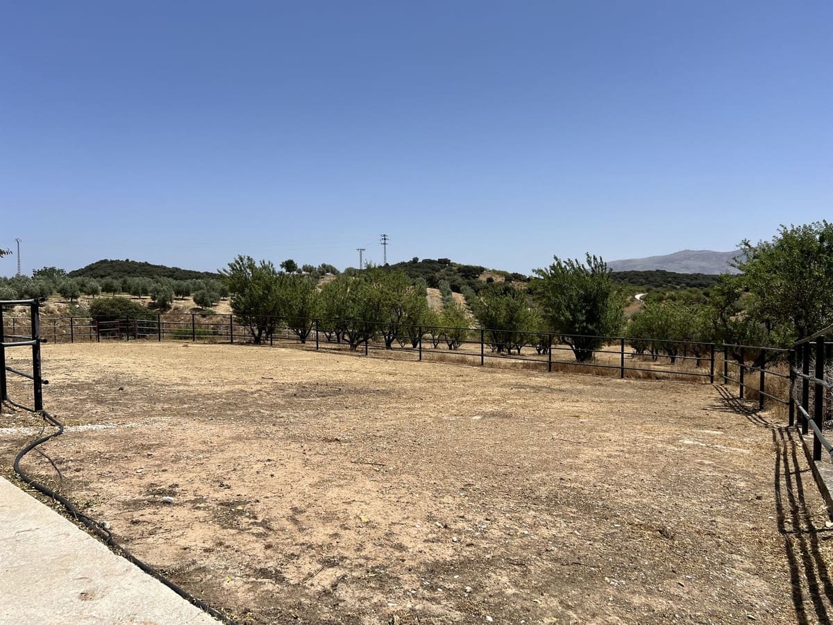 5 chambre Finca/Maison de Campagne à vendre à Villanueva de Tapia avec piscine garage - 595 000 € (Ref: 9117295)