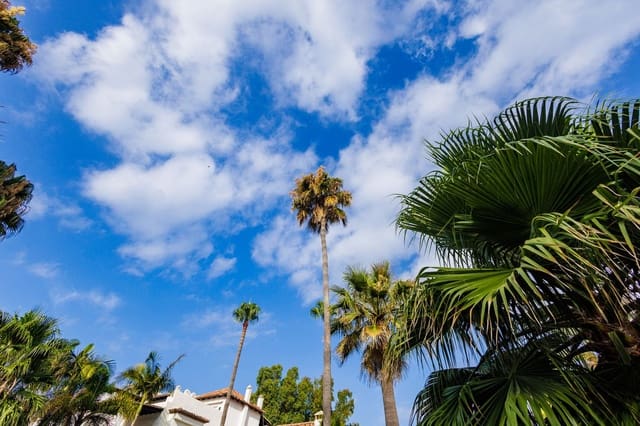 3 soverom Leilighet til salgs i Puerto Banus, Marbella med svømmebasseng garasje - € 2 150 000 (Ref: 9128865)