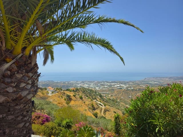 3 Zimmer Villa zu verkaufen in Arenas mit Pool Garage - 495.000 € (Ref: 9128866)