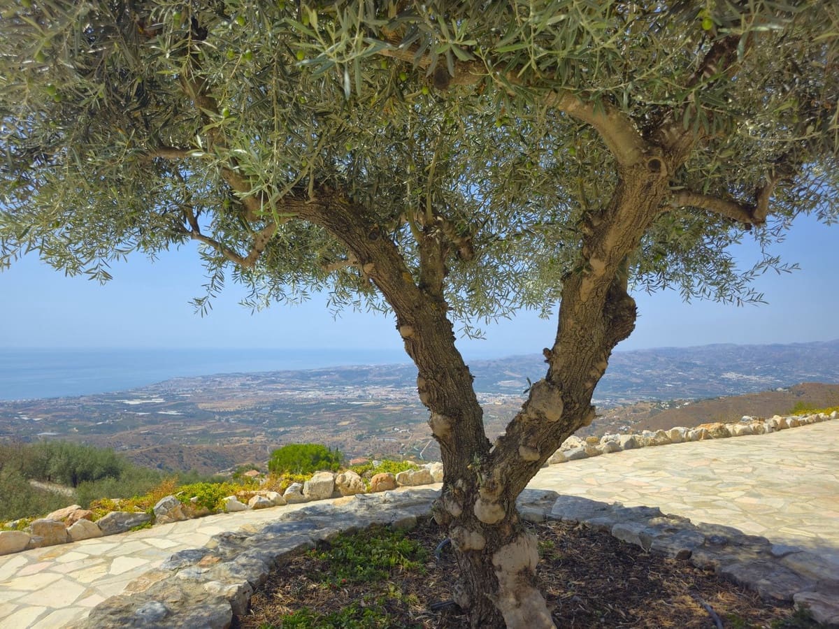 3 sypialnia Willa na sprzedaż w Arenas z basenem garażem - 450 000 € (Ref: 9180731)