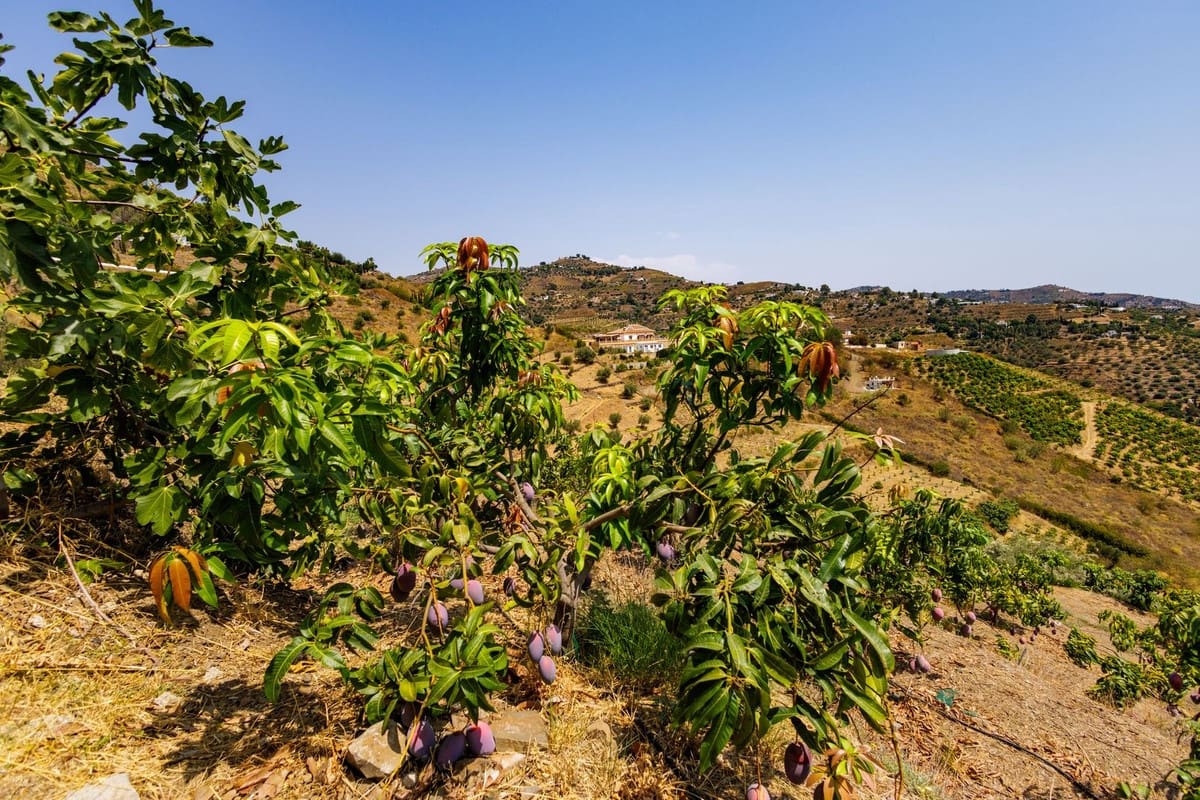 1 soverom Villa til salgs i Sayalonga med svømmebasseng garasje - € 260 000 (Ref: 9181563)