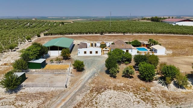 4 soveværelse Finca/Landehus til salg i Morón de la Frontera med swimmingpool garage - € 795.000 (Ref: 9188840)
