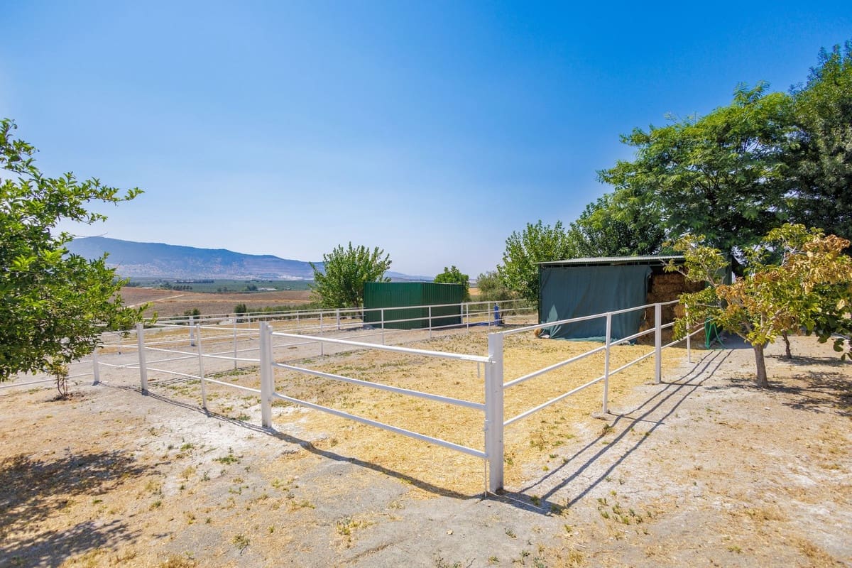 4 soverom Finca/Herregård til salgs i Moron de la Frontera med svømmebasseng garasje - € 795 000 (Ref: 9188840)