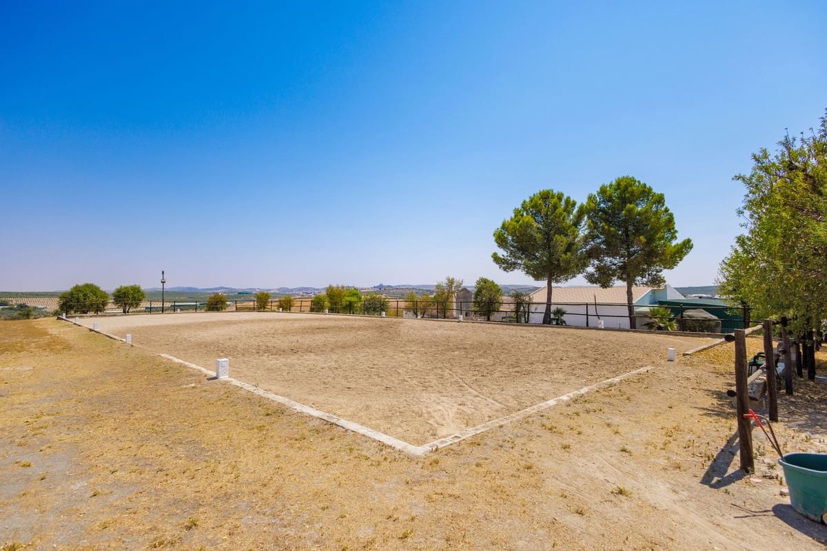 4 soverom Finca/Herregård til salgs i Moron de la Frontera med svømmebasseng garasje - € 795 000 (Ref: 9188840)