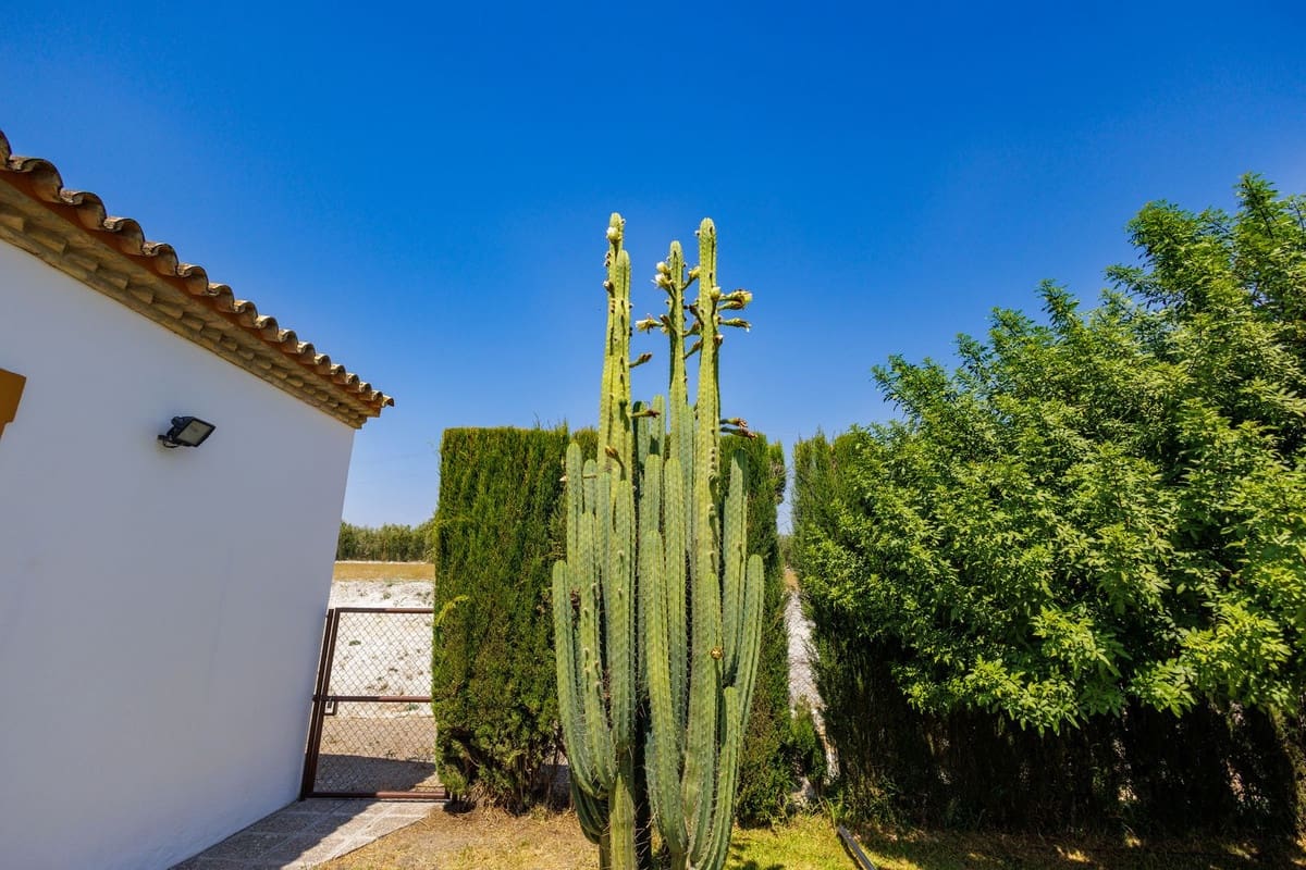 4 soverom Finca/Herregård til salgs i Moron de la Frontera med svømmebasseng garasje - € 795 000 (Ref: 9188840)