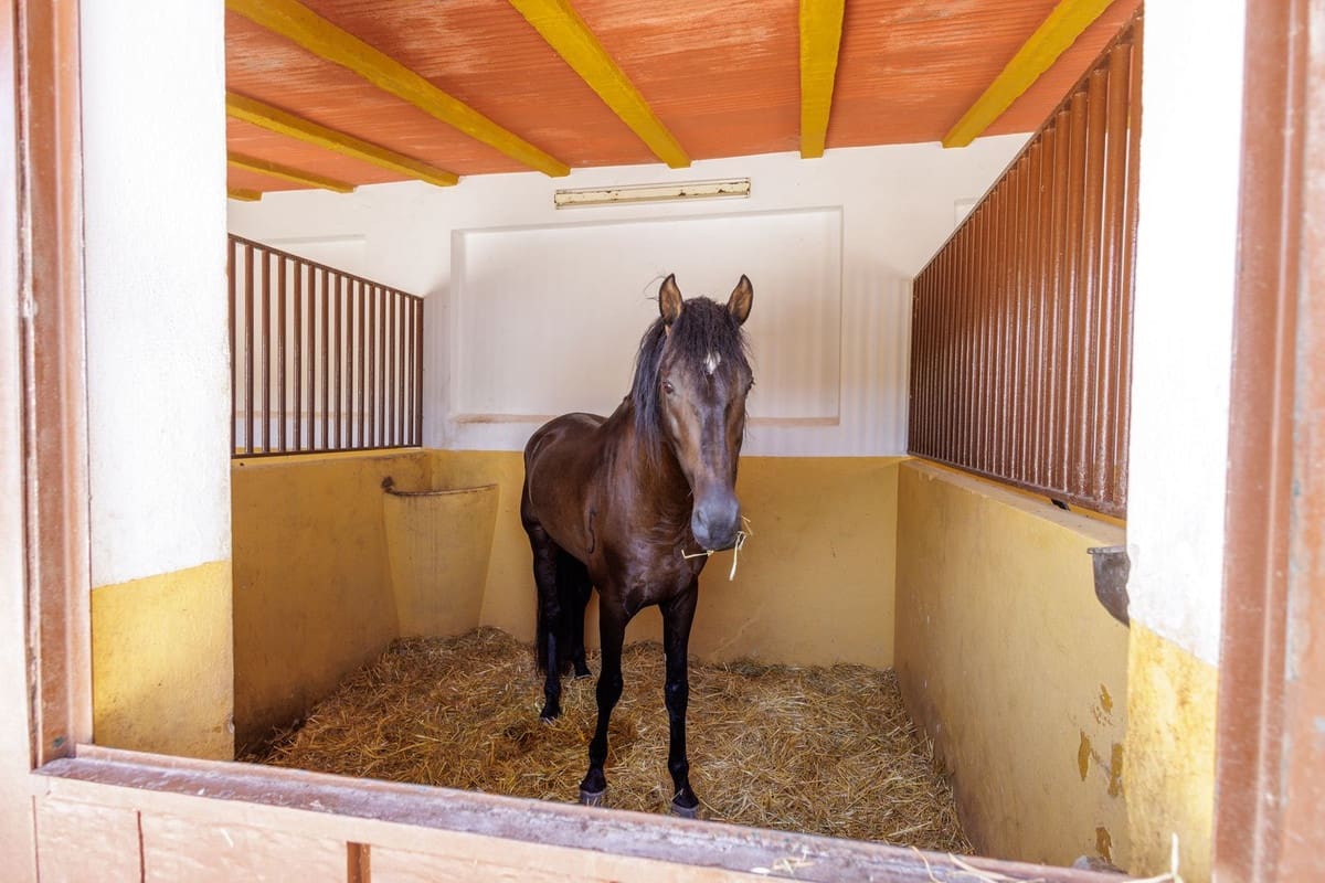 4 slaapkamer Finca/Landhuis te koop in Moron de la Frontera met zwembad garage - € 795.000 (Ref: 9188840)