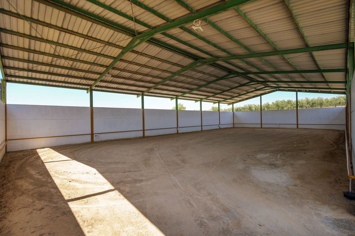 4 slaapkamer Finca/Landhuis te koop in Moron de la Frontera met zwembad garage - € 795.000 (Ref: 9188840)