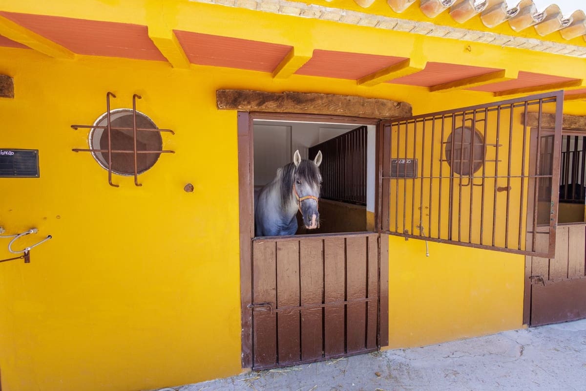 4 slaapkamer Finca/Landhuis te koop in Moron de la Frontera met zwembad garage - € 795.000 (Ref: 9188840)