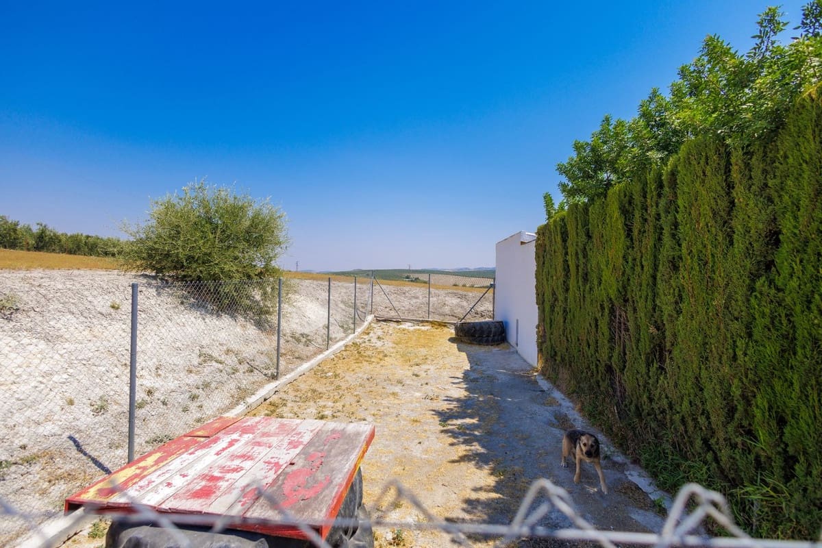 4 slaapkamer Finca/Landhuis te koop in Moron de la Frontera met zwembad garage - € 795.000 (Ref: 9188840)