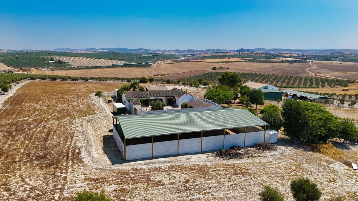 4 slaapkamer Finca/Landhuis te koop in Moron de la Frontera met zwembad garage - € 795.000 (Ref: 9188840)