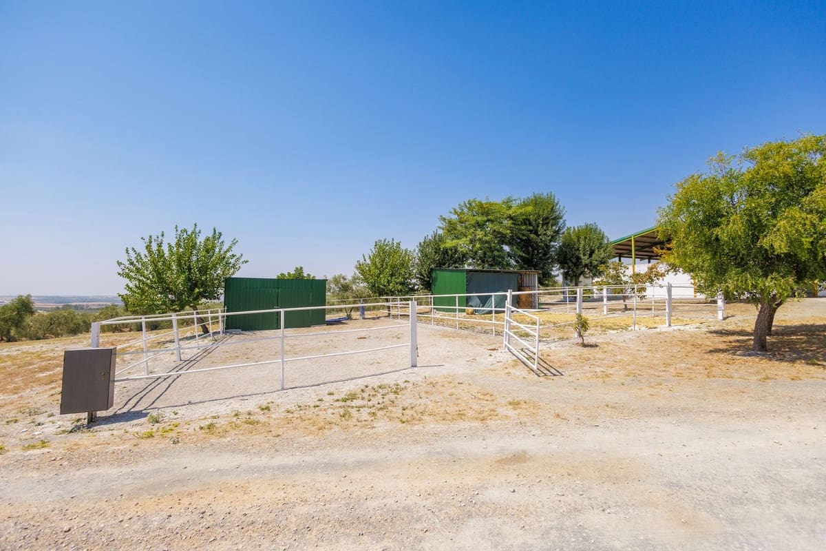 4 quarto Quinta/Casa Rural para venda em Moron de la Frontera com piscina garagem - 795 000 € (Ref: 9188840)