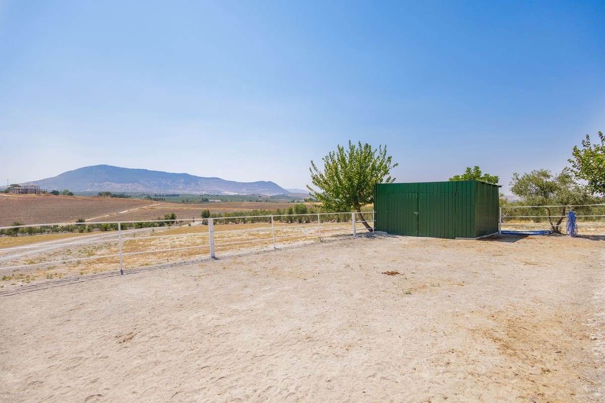 4 quarto Quinta/Casa Rural para venda em Moron de la Frontera com piscina garagem - 795 000 € (Ref: 9188840)