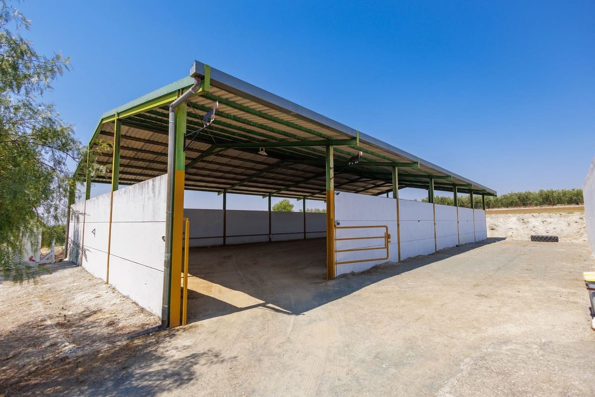 4 quarto Quinta/Casa Rural para venda em Moron de la Frontera com piscina garagem - 795 000 € (Ref: 9188840)