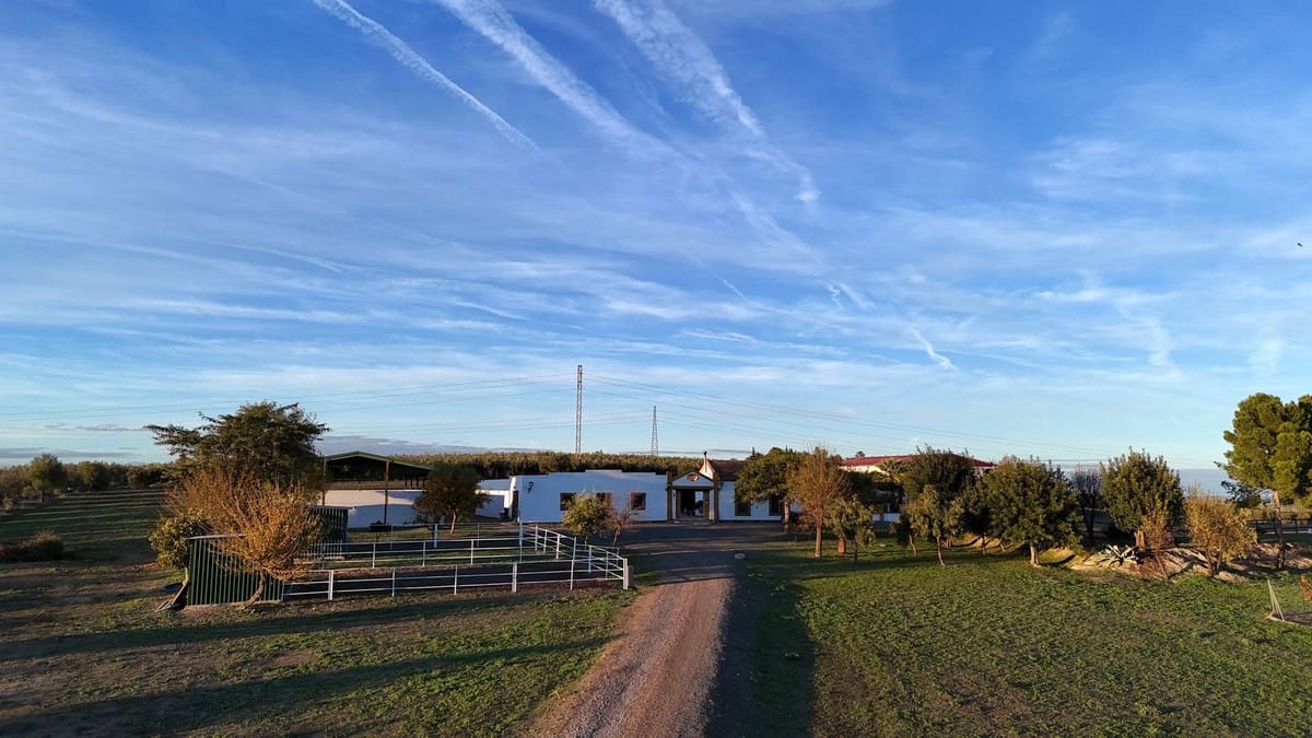 4 quarto Quinta/Casa Rural para venda em Moron de la Frontera com piscina garagem - 795 000 € (Ref: 9188840)