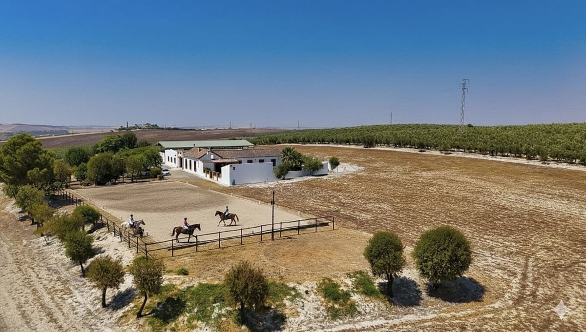 4 quarto Quinta/Casa Rural para venda em Moron de la Frontera com piscina garagem - 795 000 € (Ref: 9188840)