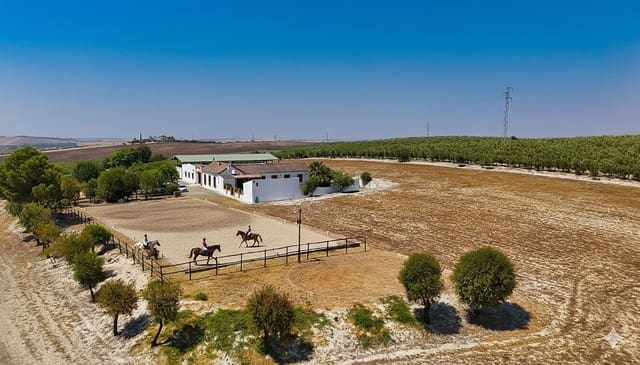 4 bedroom Finca/Country House for sale in Morón de la Frontera with pool garage - € 795,000 (Ref: 9188840)