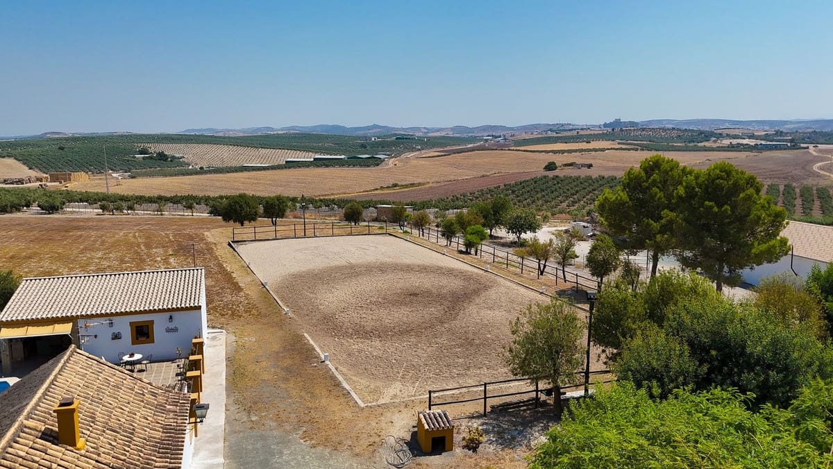 4 quarto Quinta/Casa Rural para venda em Moron de la Frontera com piscina garagem - 795 000 € (Ref: 9188840)