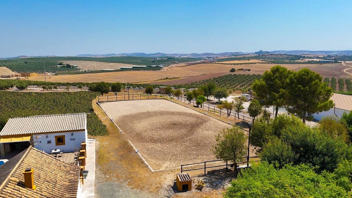 4 bedroom Finca/Country House for sale in Moron de la Frontera with pool garage - € 795,000 (Ref: 9188840)