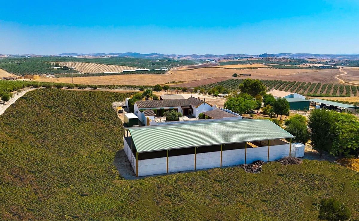 4 bedroom Finca/Country House for sale in Moron de la Frontera with pool garage - € 795,000 (Ref: 9188840)