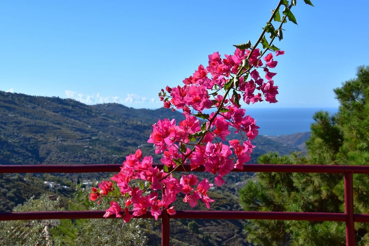 2 soverom Villa til salgs i Competa med garasje - € 315 000 (Ref: 9204935)