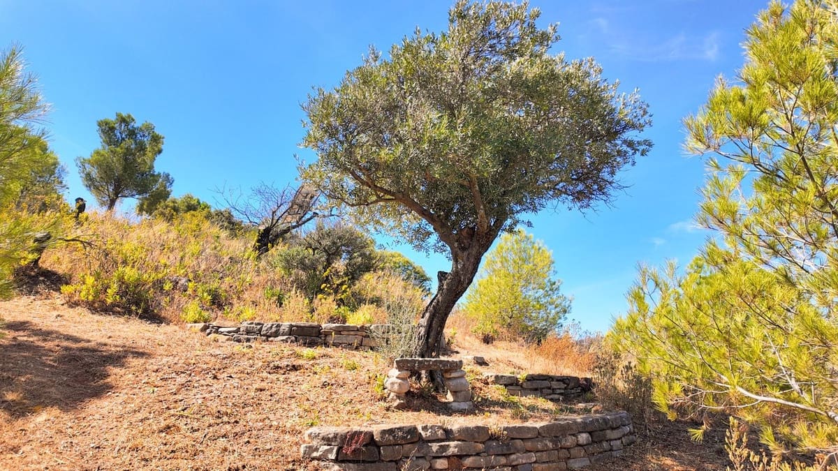 2 chambre Finca/Maison de Campagne à vendre à Ardales avec piscine - 299 000 € (Ref: 9230697)