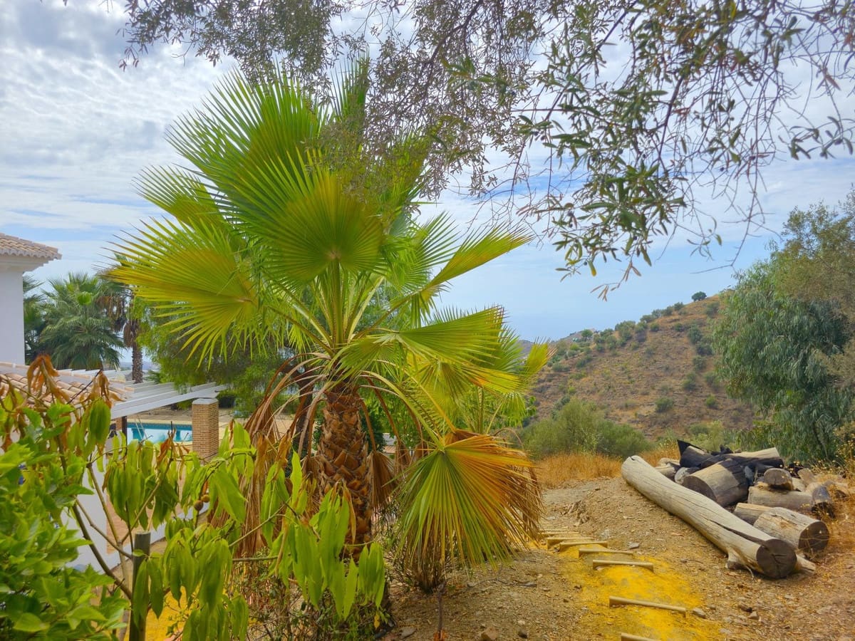 3 bedroom Villa for sale in Sayalonga with pool garage - € 845,000 (Ref: 9254407)