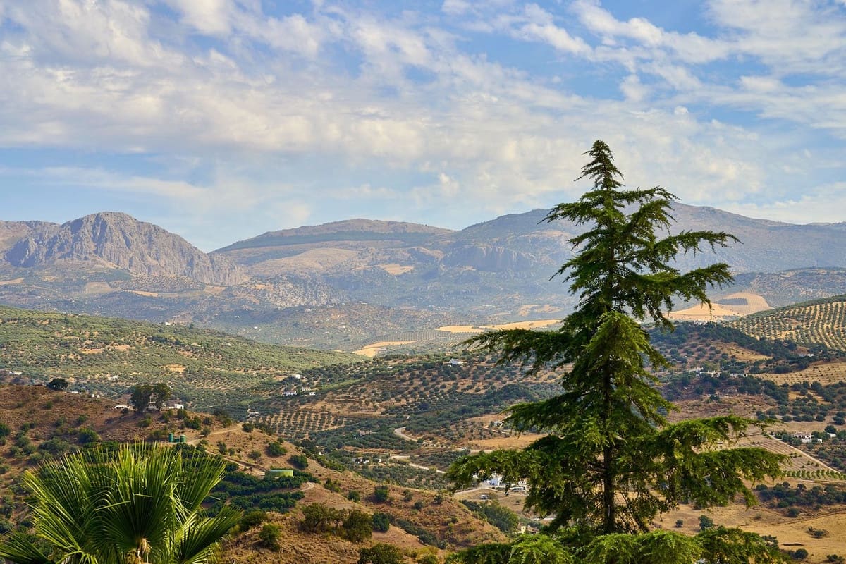 5 bedroom Finca/Country House for sale in Comares with pool garage - € 1,650,000 (Ref: 9302816)