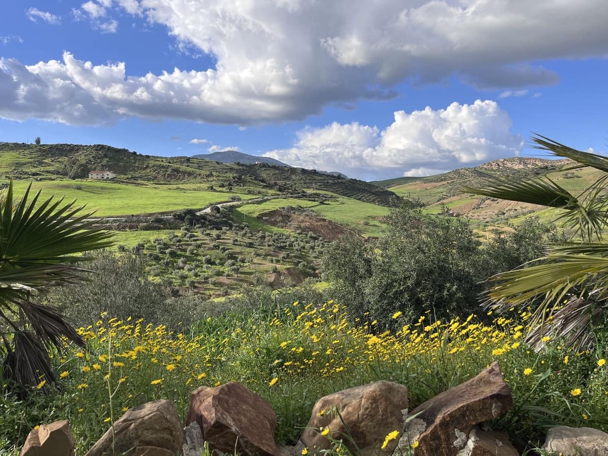 Finca/Casa Rural de 3 habitaciones en Alora en venta - 315.000 € (Ref: 9344079)