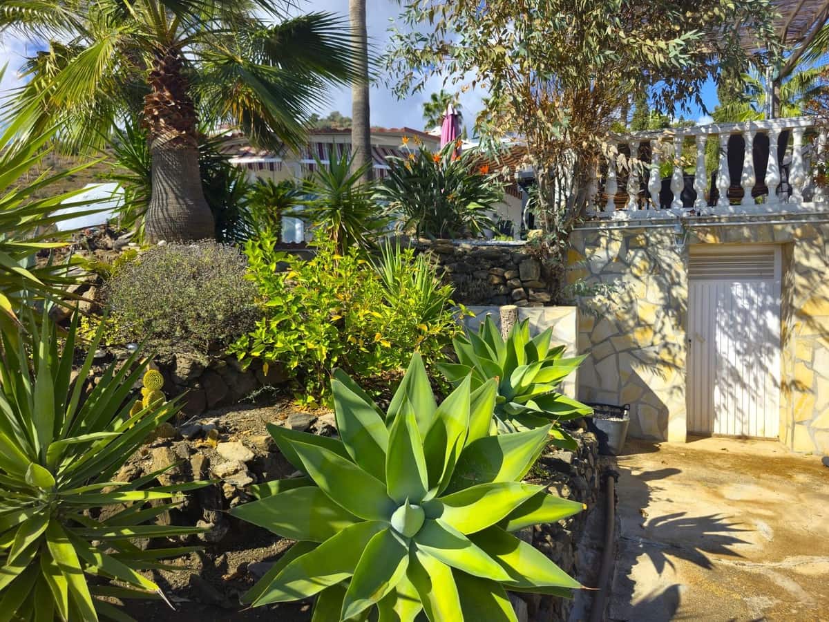 3 sovrum Villa till salu i Arenas med pool garage - 595 000 € (Ref: 9363436)