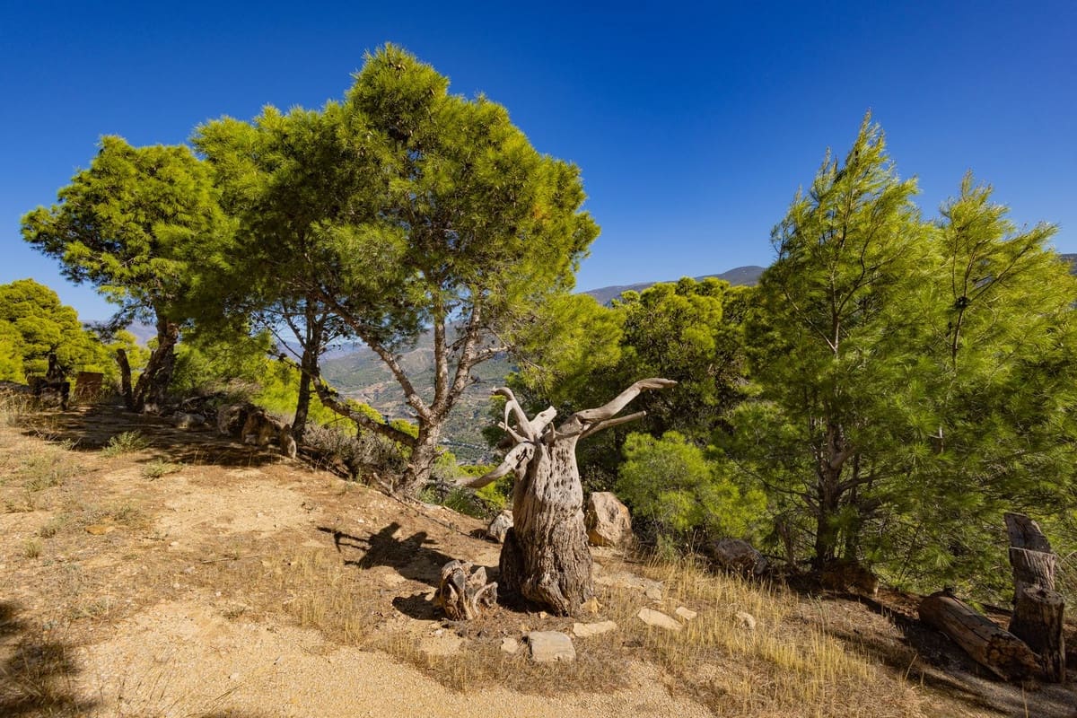 7 soveværelse Villa til salg i Velez de Benaudalla med garage - € 995.000 (Ref: 9400150)