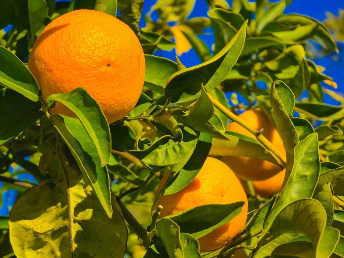 3 bedroom Villa for sale in Competa with pool garage - € 549,000 (Ref: 9470675)