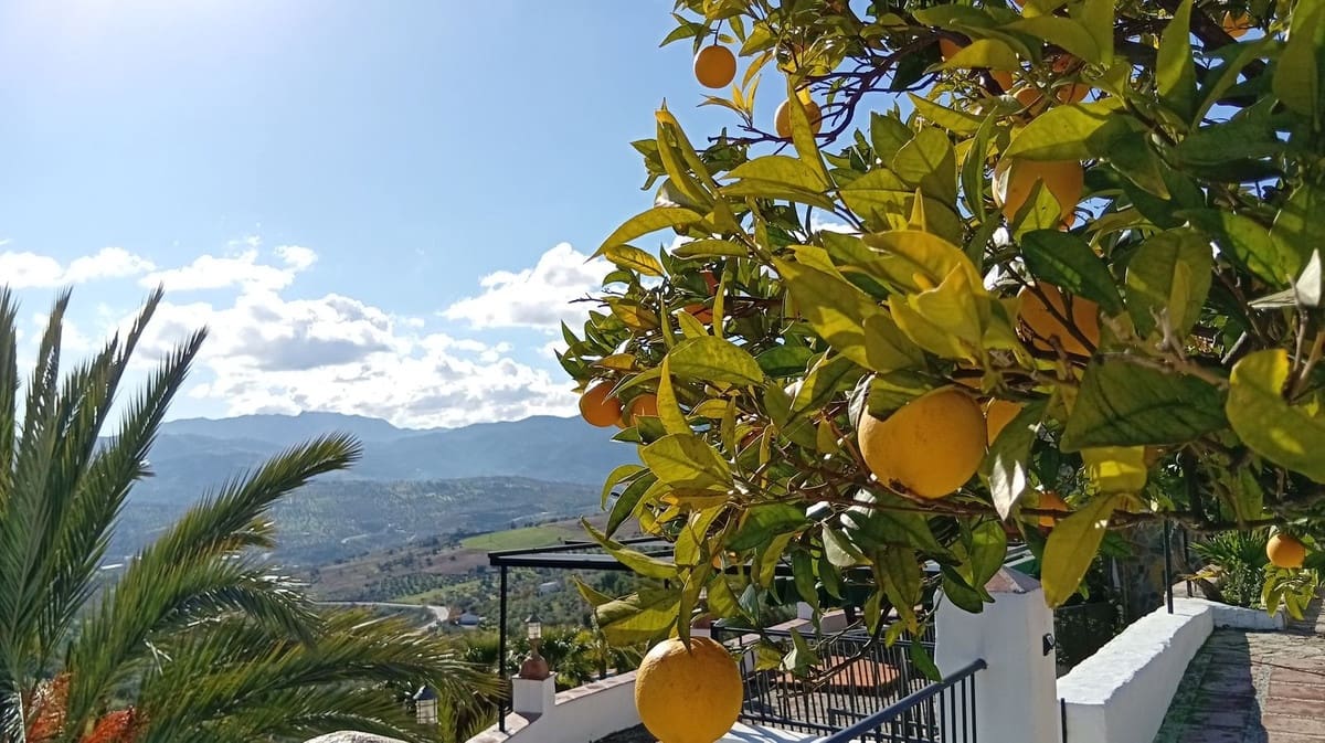 17 slaapkamer Hotel te koop in Tolox met zwembad - € 1.499.000 (Ref: 9529019)