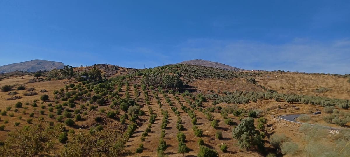 5 soverom Finca/Herregård til salgs i Malaga by med svømmebasseng - € 599 000 (Ref: 9539052)