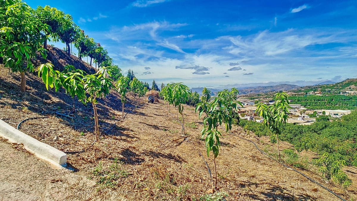 3 soveværelse Finca/Landehus til salg i Velez-Malaga med swimmingpool garage - € 1.150.000 (Ref: 9594512)