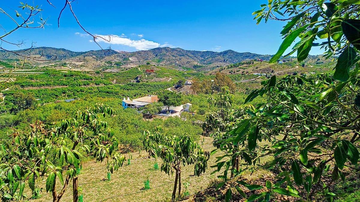 3 soveværelse Finca/Landehus til salg i Velez-Malaga med swimmingpool garage - € 1.150.000 (Ref: 9594512)