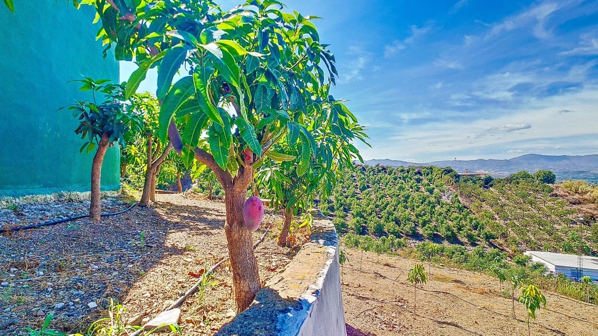 3 soveværelse Finca/Landehus til salg i Velez-Malaga med swimmingpool garage - € 1.150.000 (Ref: 9594512)