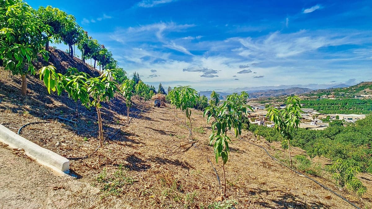 3 soveværelse Finca/Landehus til salg i Velez-Malaga med swimmingpool garage - € 1.150.000 (Ref: 9594512)