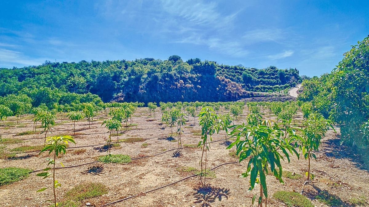 3 soveværelse Finca/Landehus til salg i Velez-Malaga med swimmingpool garage - € 1.150.000 (Ref: 9594512)