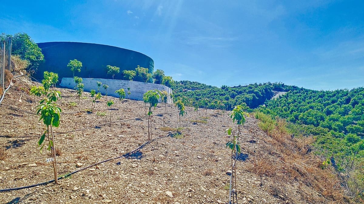 3 soveværelse Finca/Landehus til salg i Velez-Malaga med swimmingpool garage - € 1.150.000 (Ref: 9594512)