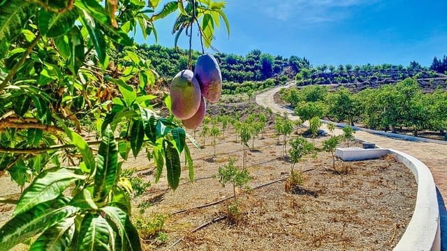 3 Zimmer Finca/Landgut zu verkaufen in Vélez-Málaga mit Pool Garage - 1.150.000 € (Ref: 9594512)