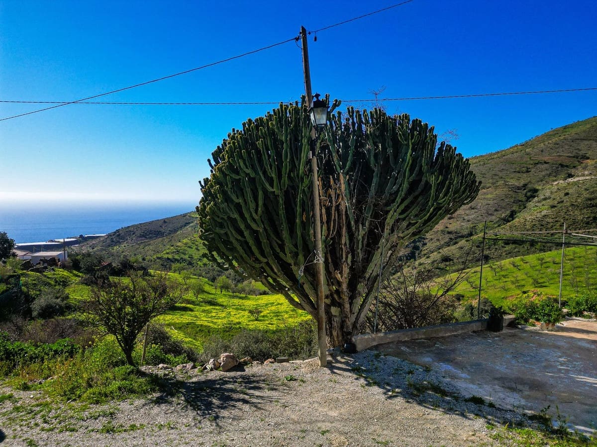 4 soverom Finca/Herregård til salgs i Rubite med garasje - € 95 000 (Ref: 9651052)