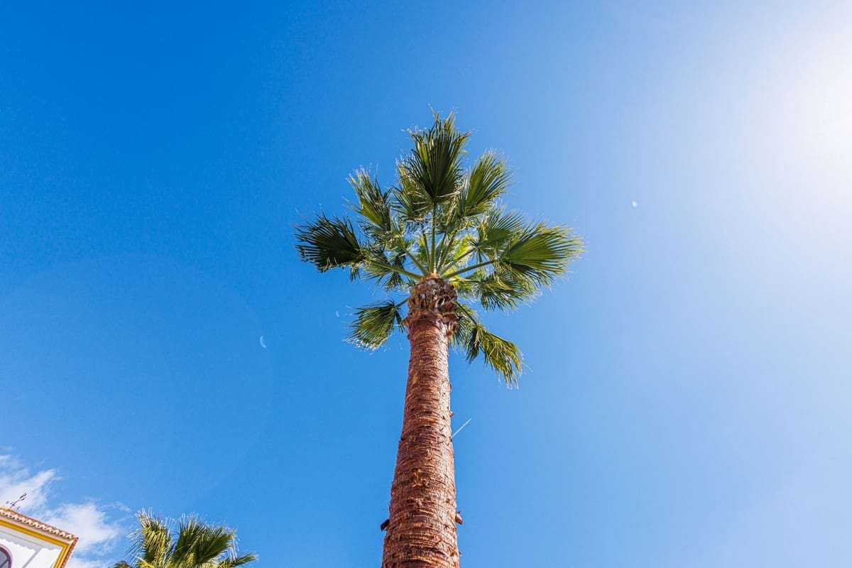 10 bedroom Hotel for sale in Almogia with pool garage - € 2,400,000 (Ref: 9656707)