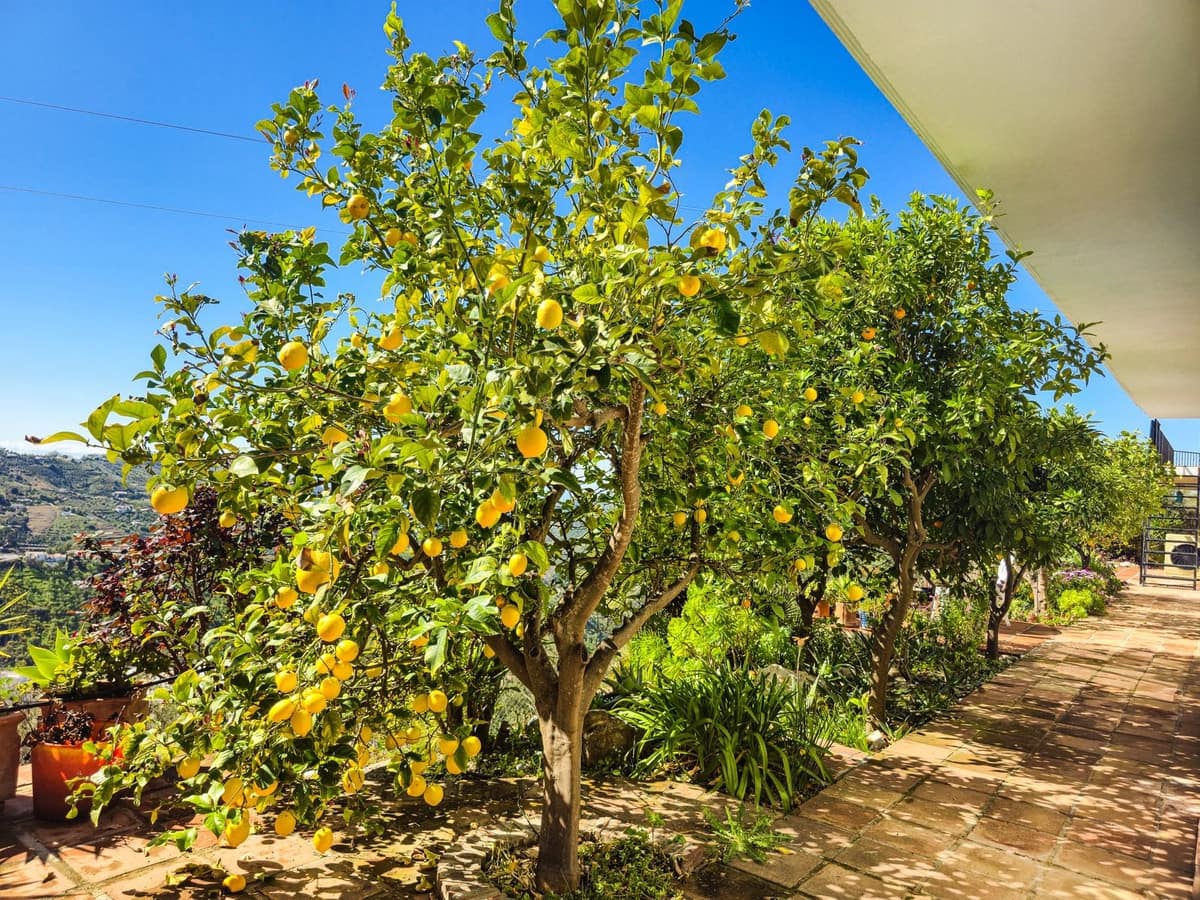 5 soveværelse Villa til salg i Competa med swimmingpool garage - € 575.000 (Ref: 9673801)