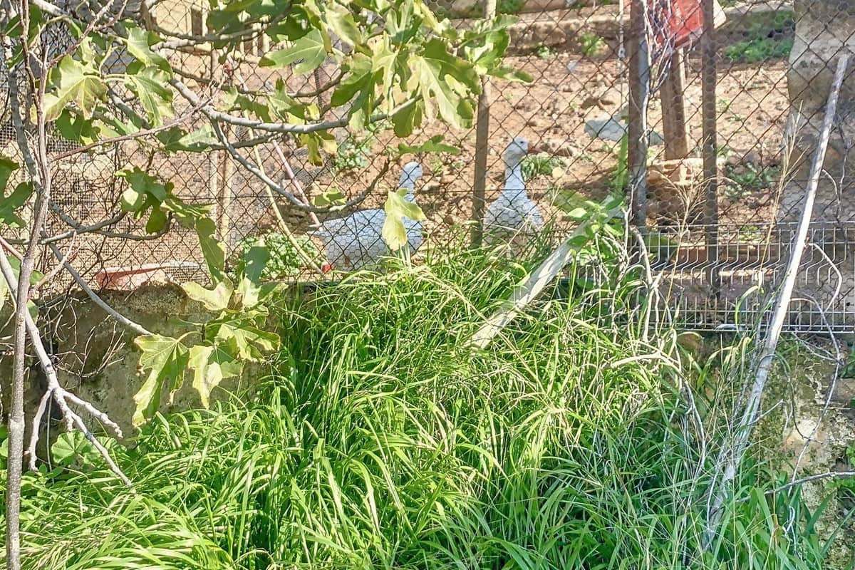 6 quarto Quinta/Casa Rural para venda em Pizarra com garagem - 450 000 € (Ref: 9713867)