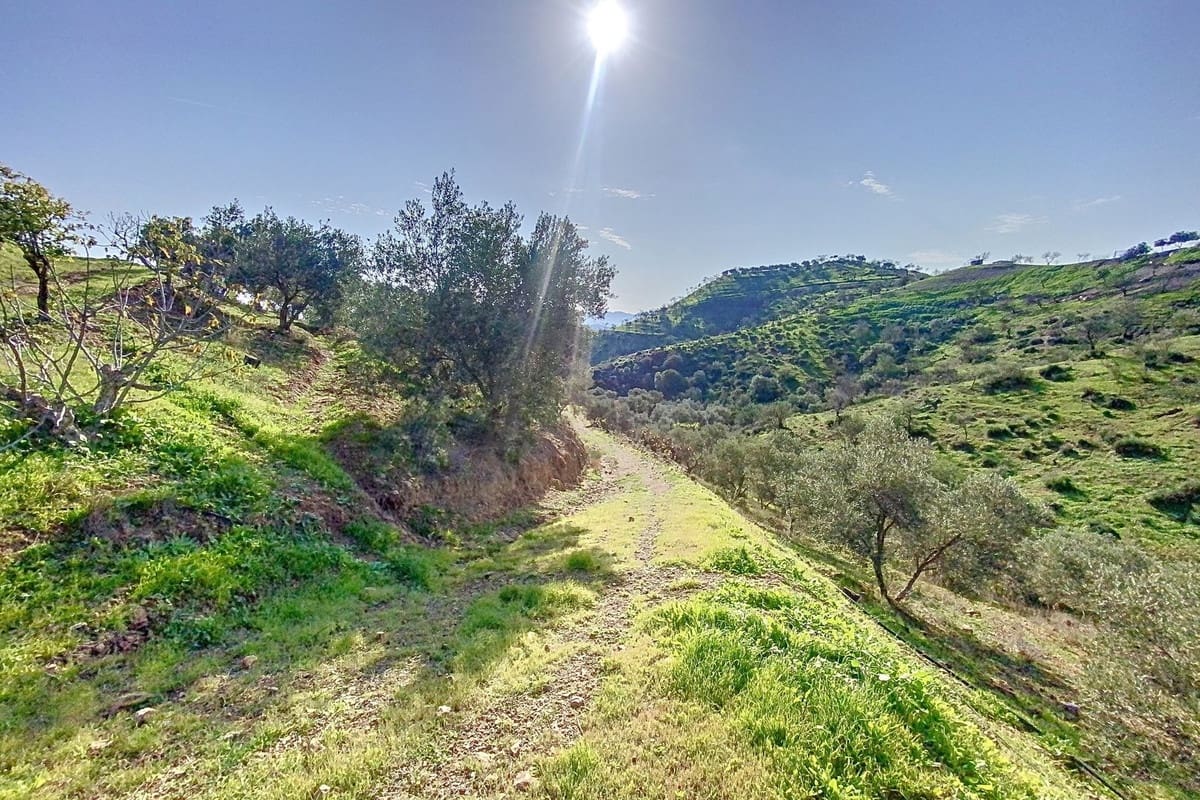 6 Zimmer Finca/Landgut zu verkaufen in Pizarra mit Garage - 450.000 € (Ref: 9713867)